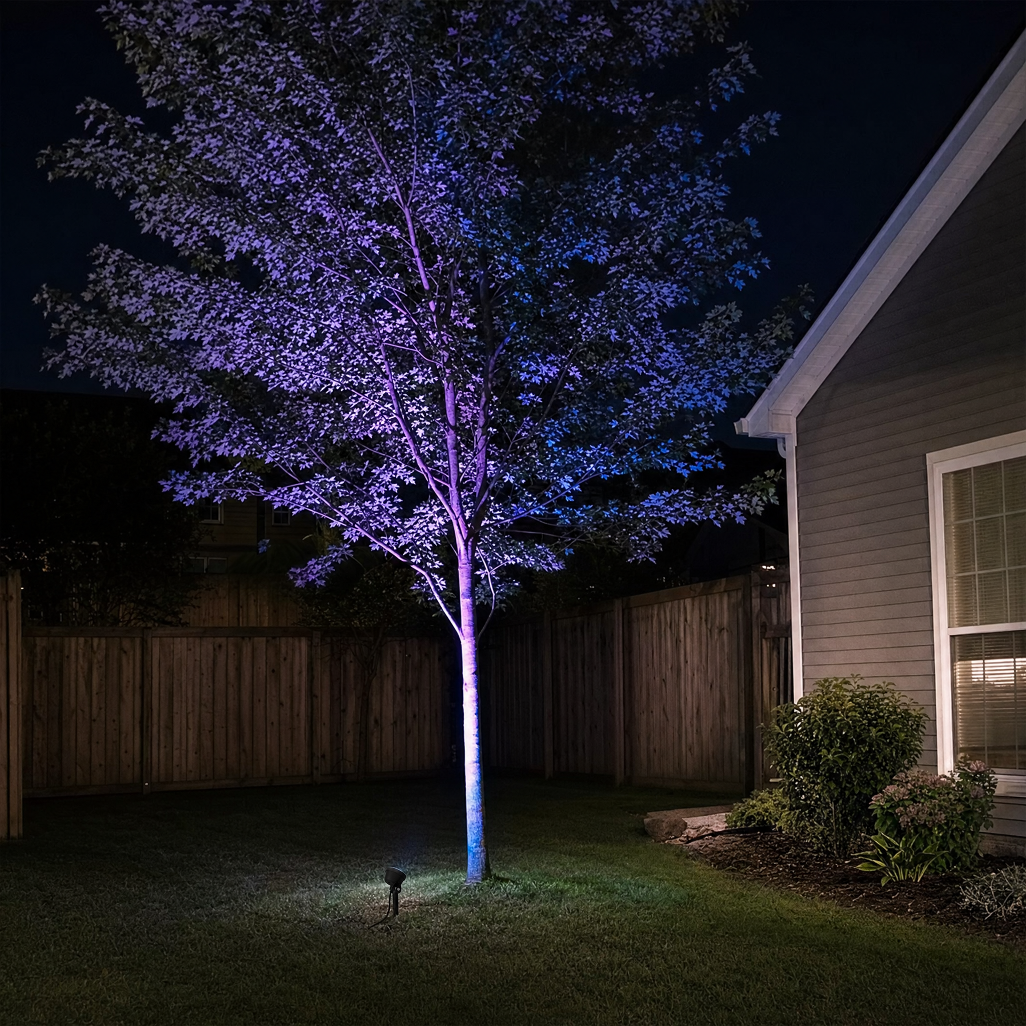 RGB Spot Light - backyard tree uplighting lifestyle