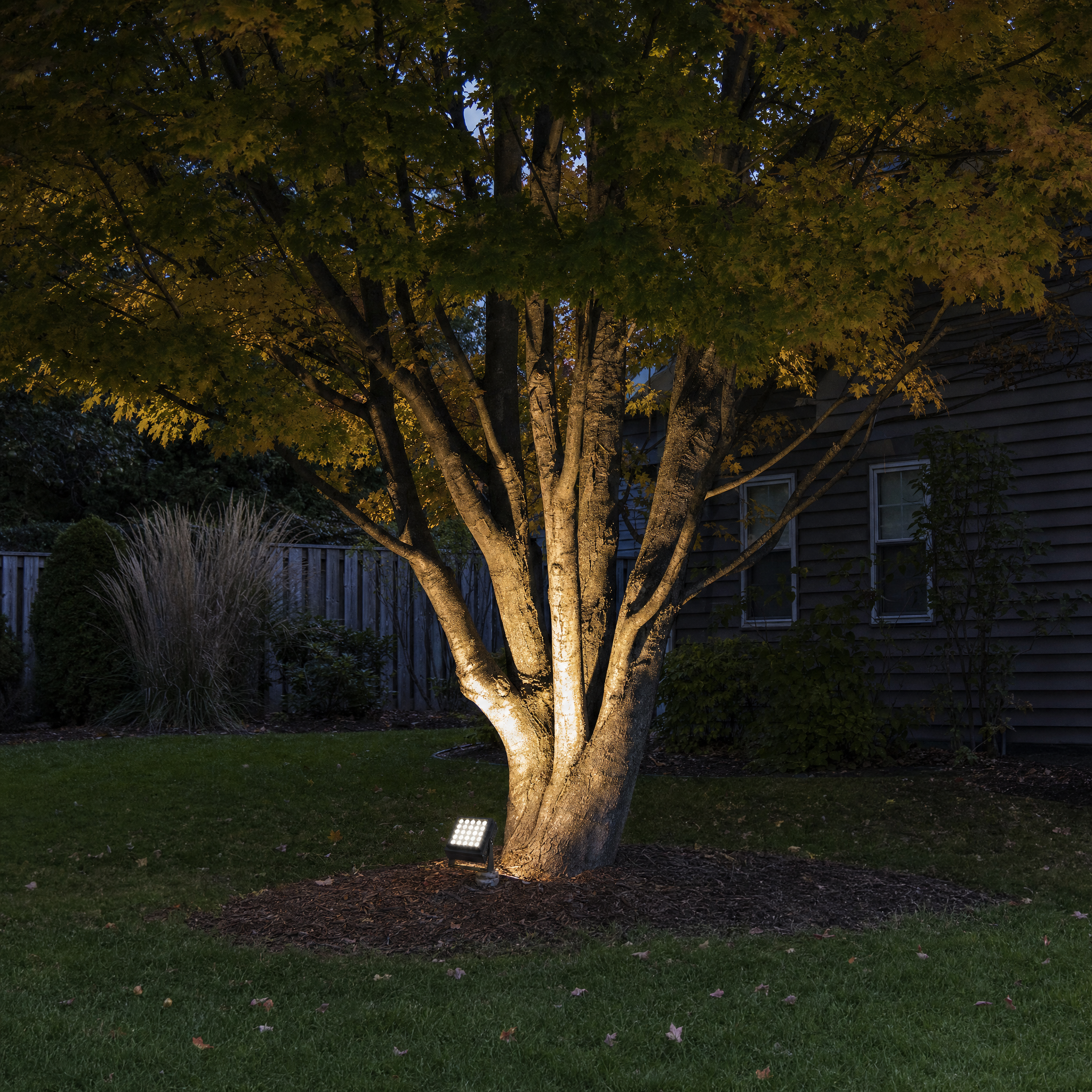 Square LED landscape spot light uplighting a tree trunk in a backyard at dusk